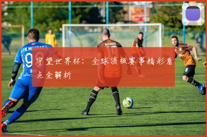 守望世界杯：全球顶级赛事精彩看点全解析
